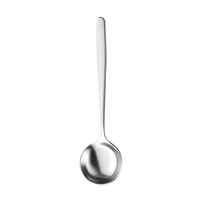 304 Stainless Steel Spoon for Soup Silver 19cm