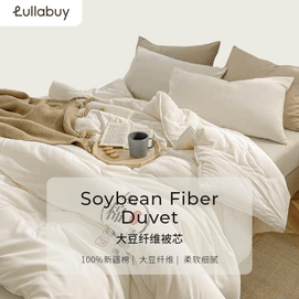 [중국발 다이렉트 메일] 룰라바이 소이파이버퀼트 코어퀼트 싱글퀼트/더블퀼트 더블/퀸사이즈 화이트 4kg