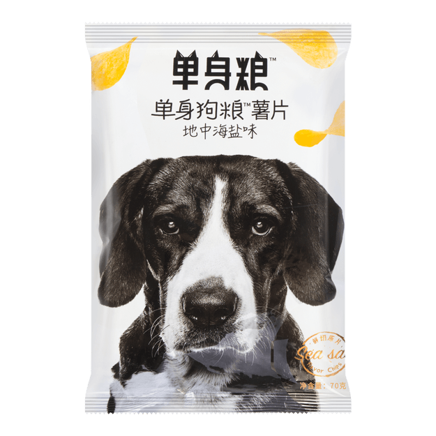 maltipoo hip dysplasia