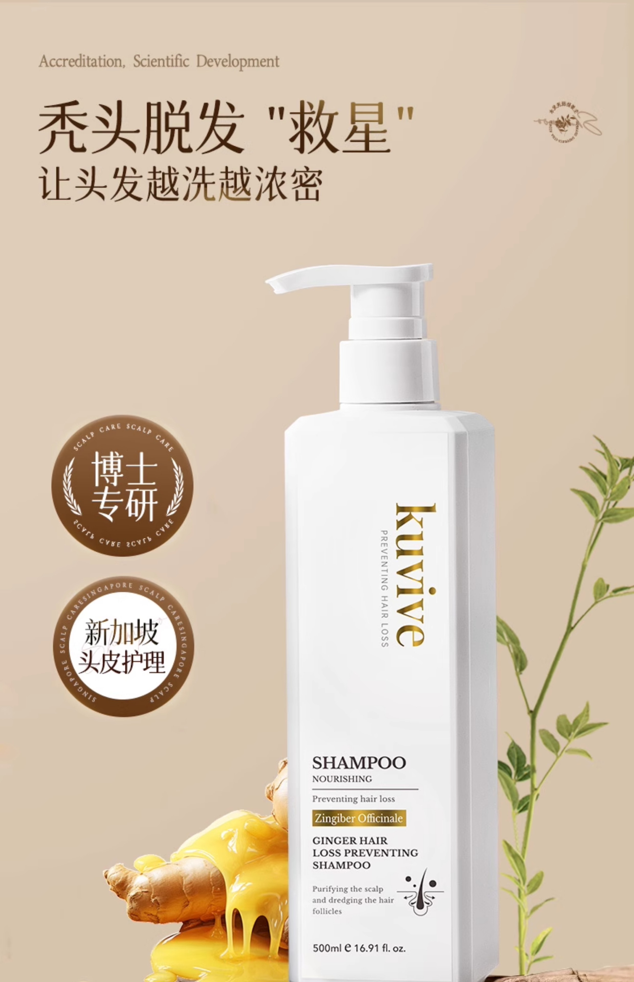 【中国直邮】 新加坡 Kuvive 防脱洗发水 长发育发控油蓬松去屑咖啡因生姜固发脱发洗头膏露 500ml/瓶