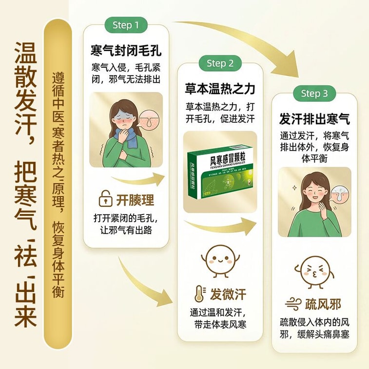 Fenghan Ganmao Granules 8g*9bags 5