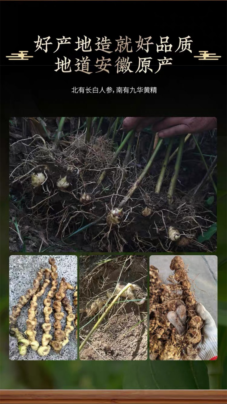 鹊和堂 黄精 九蒸九制黄精 125g 中药材品质【男性滋补品 补气养阴 健脾润肺 益肾填精 调节免疫 抗氧化 调节血糖血脂 保护心脑血管】