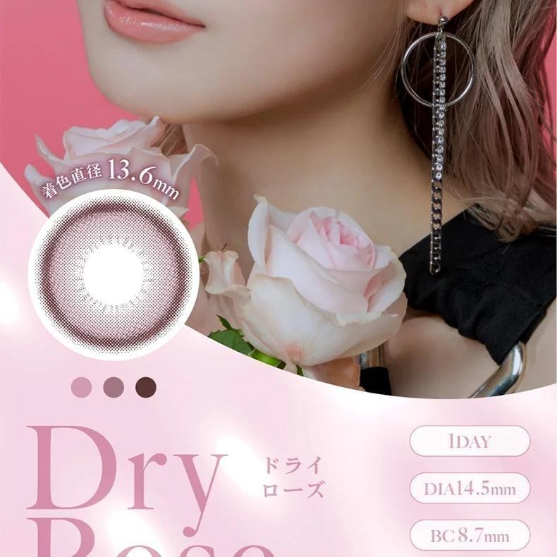 【日本美瞳/日本直郵】LILMOON Silicone 日拋美瞳 Sand Gray「棕色系」10片裝 度數-10.00(1000)預定3-5天 DIA:14.5mm | BC:8.7mm