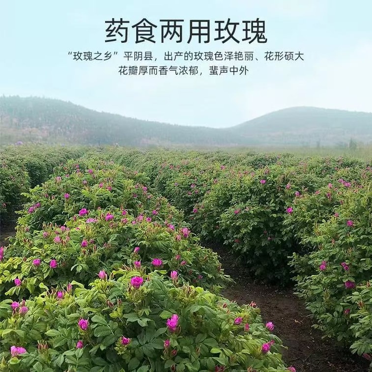 杞里香 精選A級頭採平陰玫瑰花冠禮盒30g 疏肝解鬱 膚白如花的秘密 花青素比藍莓高 3