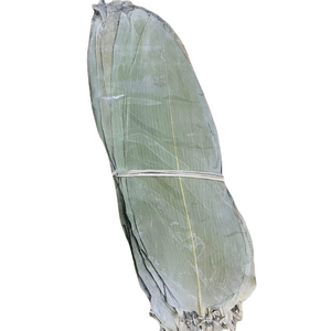 Dry bamboo leaves medium size about 7-9cm 50 pieces of twine