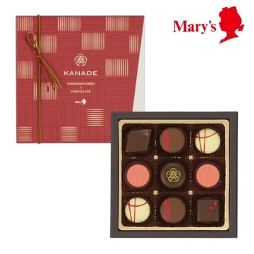 Kanade berry Chocolate Valentine pack 11pc