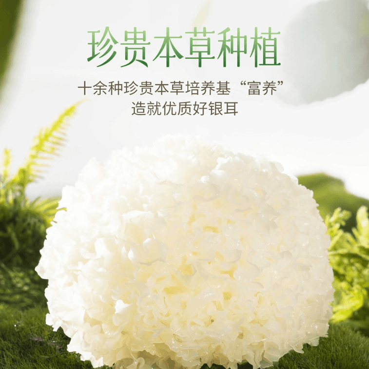  燕之坊 古田本草銀耳乾貨免洗免泡燜燒杯沖泡即食30g*1 4