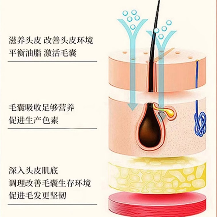 Polygonum Multiflorum & Ginger Herbal Shampoo 500ml 5