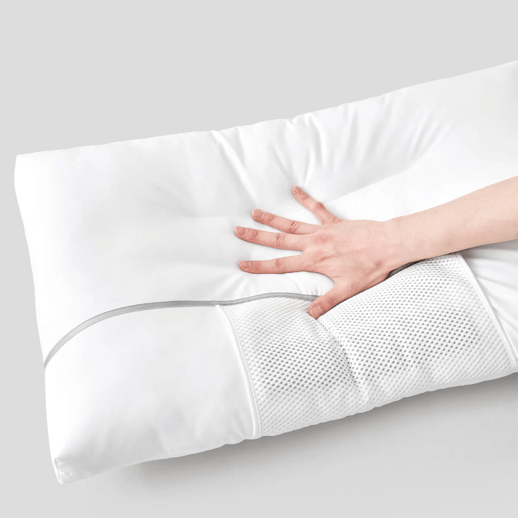 China Cassia Seed Antibacterial Anti-Mite Herbal Pillow (includes two pillows) 10cm 5