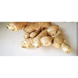 Organic Ginger 1.2lb