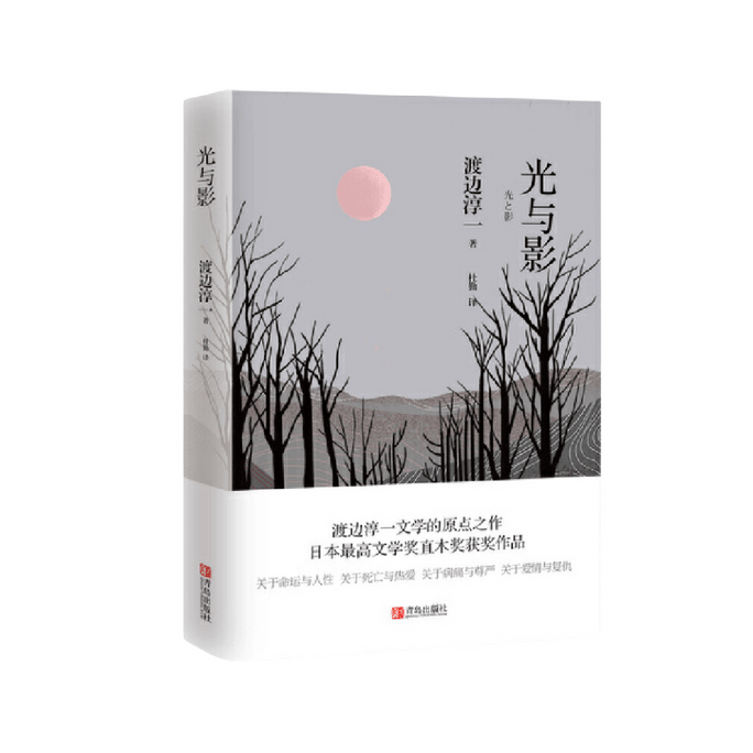 【中国直邮】I READING爱阅读 光与影