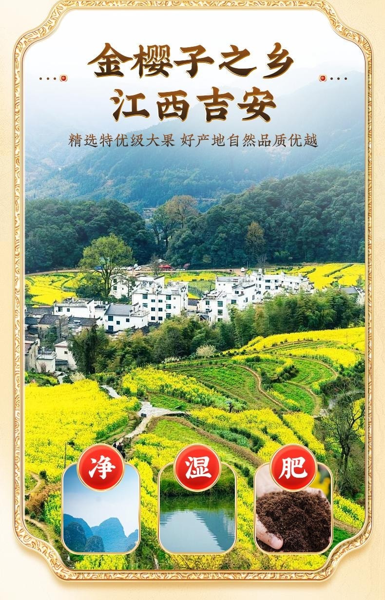 Golden樱berry premium grade 250g per jar. Wild medicinal herbs, brewed and drunk as a tea. Fresh.