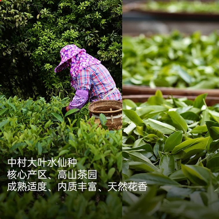 小师姐评茶 茶中香水漳平水仙 核心产区紧压乌龙茶 传统炭焙 手工压制 百香馥郁 回甘生津 倾花 一袋一泡 42克 (7克x6) 6