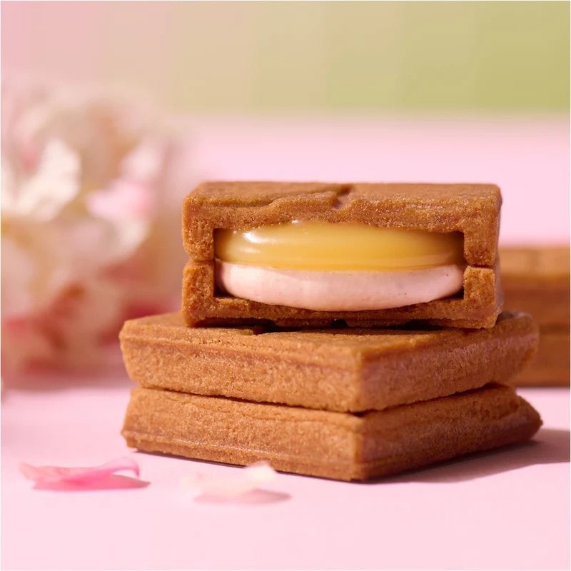 【日本直邮】 日本 press butter sand 期间限定 草莓樱花夹心巧克力 黄油三明治饼干 5个装