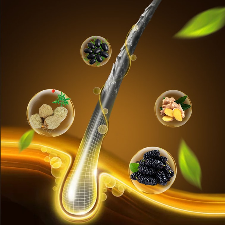 【Expédition directe du Canada】 Sivan Da Wugen Probiotic Tea 100g (5g ×20 sachets) Tisane Idéal pour la consommation quotidienne Pour des cheveux noirs brillants Sachets individuels Idéal pour la maison, le bureau, toutes saisons, peut être bu avant de dormir 3