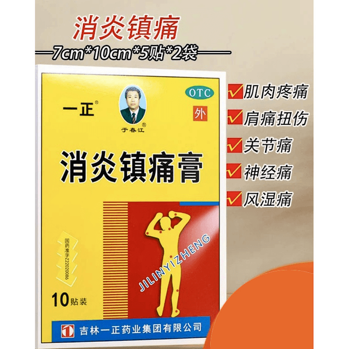 中国宜正消炎鎮痛軟膏 10錠