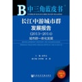 中三角蓝皮书：长江中游城市群发展报告（2013~2014）
