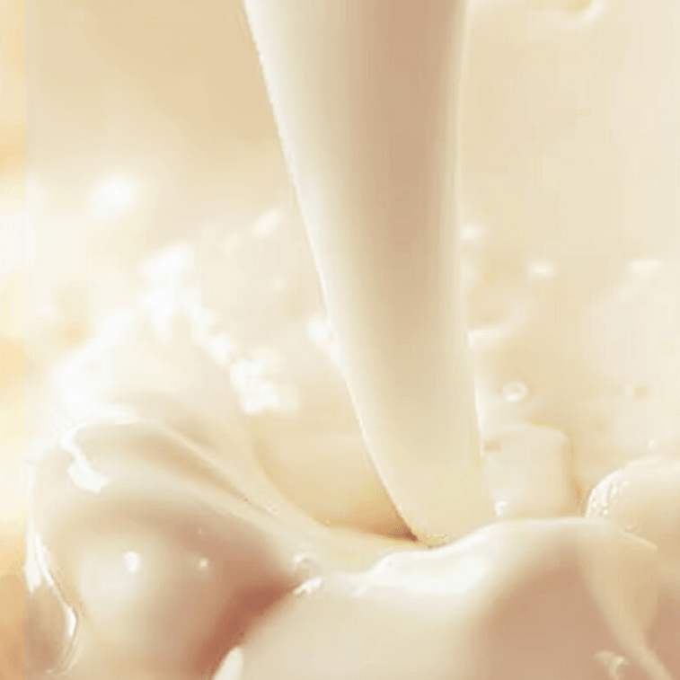 ジャスミン風味ミルクティー 3.17 オンス 8