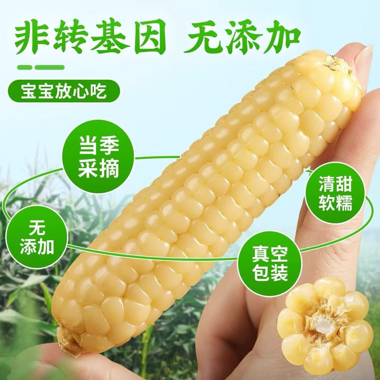 雨林小友 【年货必备】 西双版纳珍珠玉米【热带雨林高品质产品】控卡期的快乐主食!【0添加低脂低热高纤维】开袋即食,解馋又顶饱 500g 4