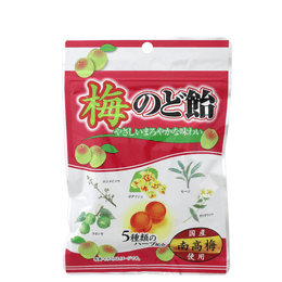 Ohkura Seika Plum Lozenges 100 g | Yami