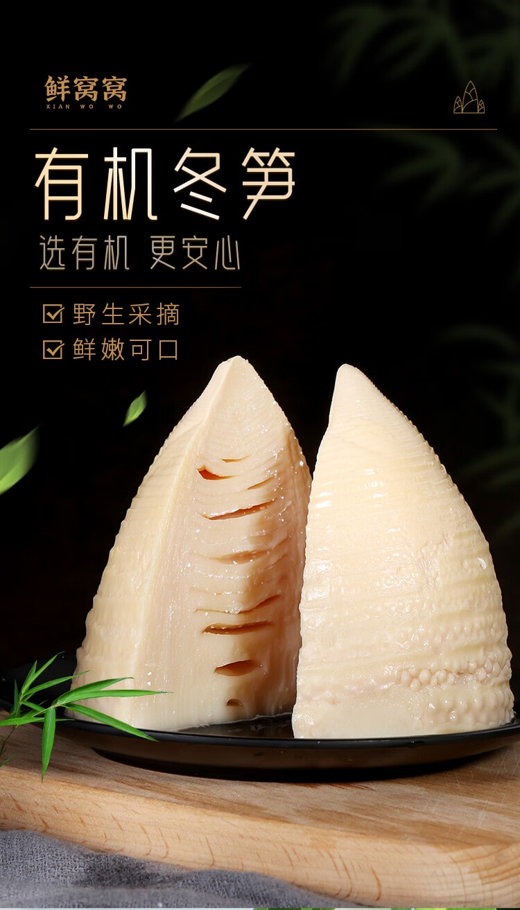 【中国直邮】 鲜窝窝 有机冬笋300g 脆嫩冬笋火锅食材 新鲜野笋罗汉笋嫩笋尖 有机蔬菜