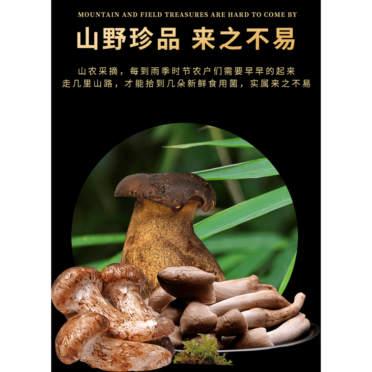 紅星野生珍味ミックスきのこパック（シロキクラゲ、ヤマドリタケ、マツタケ各2袋） すぐに食べられるしいたけスナック、125g、雲南特産、すぐに食べられるしいたけ、ご飯に最適、6個パック 10