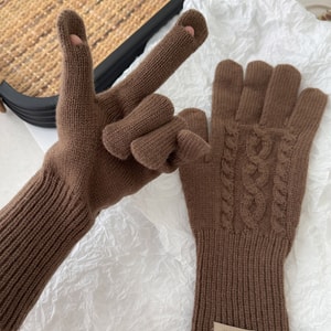 【中国直邮】 HSPM 新款冬季圣诞新年款节日礼物保暖骑车毛线麻花手套 砂砾棕 F 1副