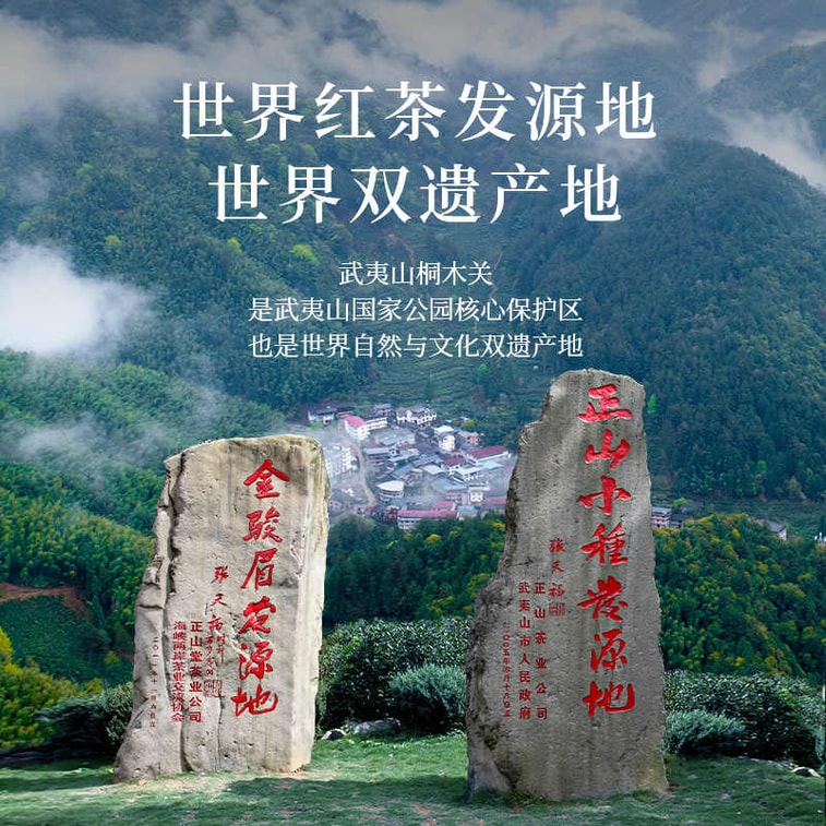  正山堂 正山小種野茶 桐木關高山無人區野茶 草木清香 經典馬口鐵罐50g 6