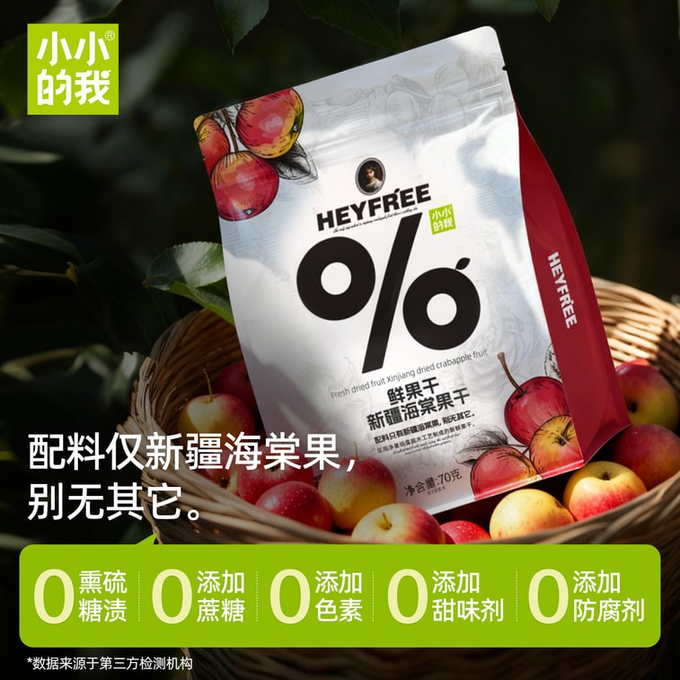 [중국 직송] 타이니미 [신장 직송] 건사과 160g, 새콤달콤한 맛, 식욕을 돋우는 작은 사과 스낵, 천연 과일 향, 개별 포장 4