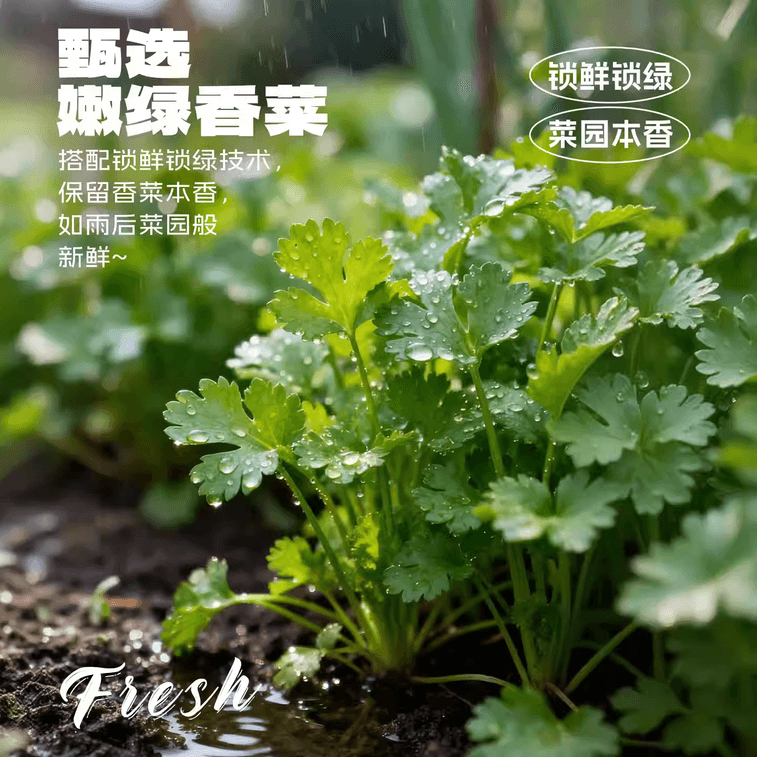 Fragrant Cilantro Chili Sauce for Rice and Noodles, Hot Pot Dipping Sauce, Seasoning, Chopped Chili Sauce 240g 4