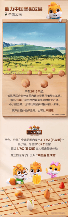 Canned Wild Pecan Kernels 100g*1 Can