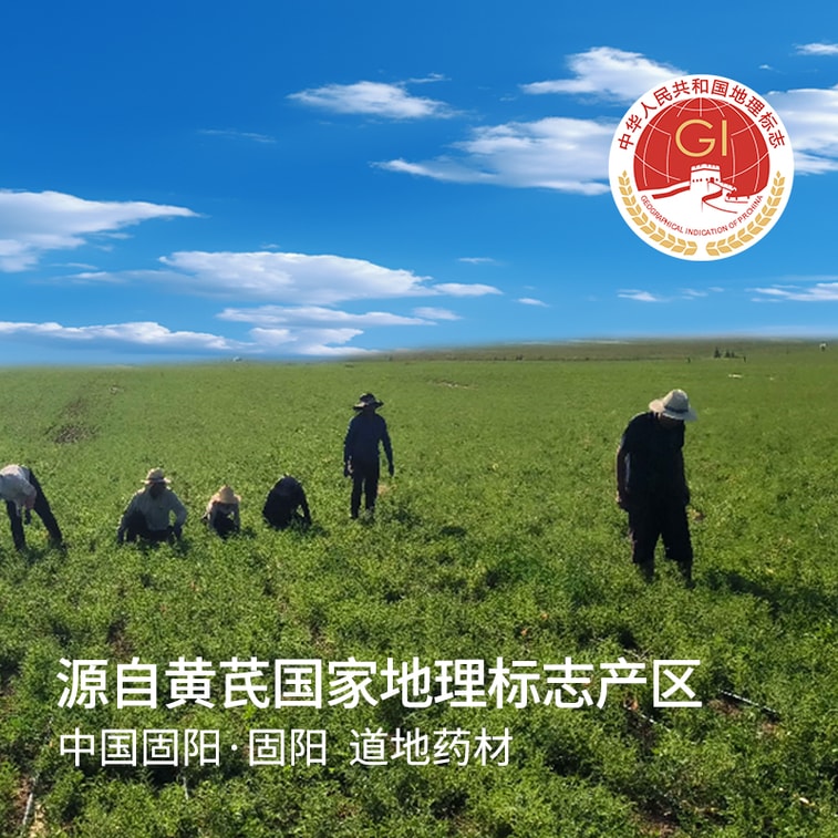 遠方好物 【耆北農 有機黃耆原漿50mlX10袋/盒】補氣運血 藥食同源 以內而外 生產日期 4