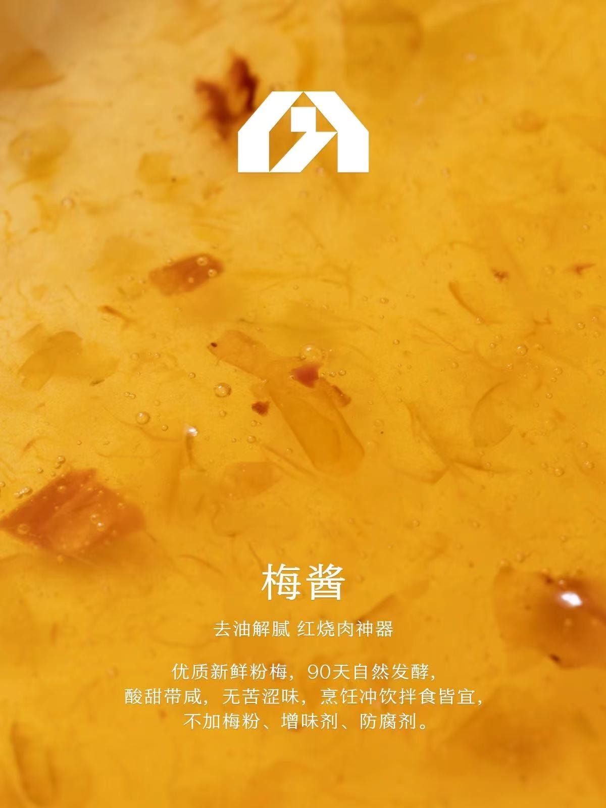 【中国直邮】 南食召 梅酱400g*1瓶 酸甜带咸·青梅熬制 青梅子酸梅酱 烧鹅烤鸭叉烧蘸酱