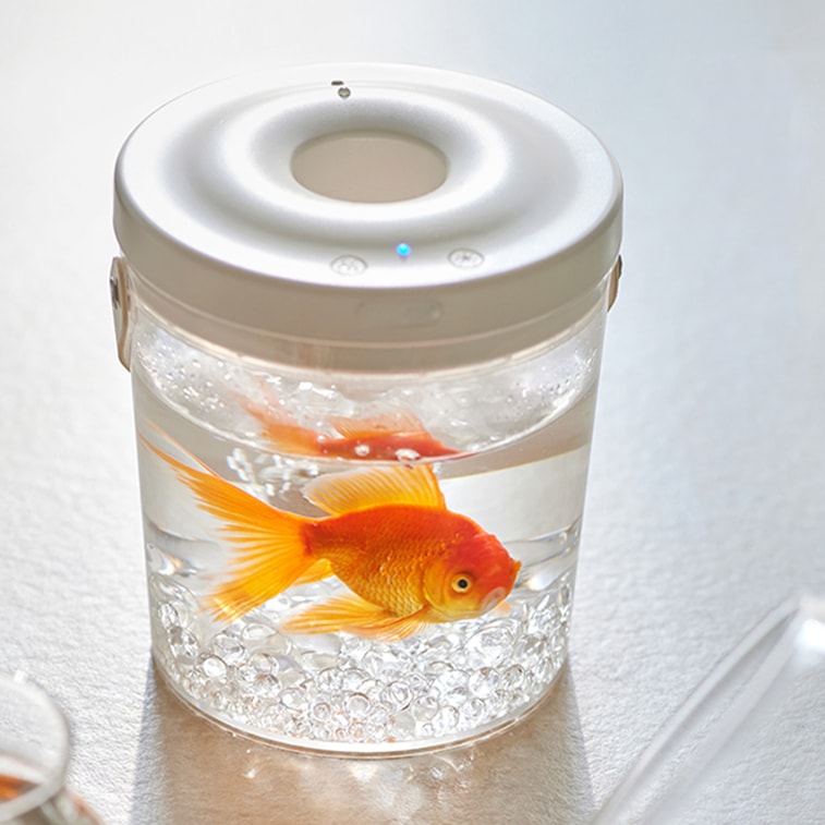 New Small Wireless Oxygenating Goldfish Tank for Desktop, Office, and Outdoor Use 6