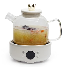 Electric Health Tea Pot 1.5L White