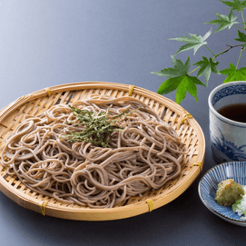 日本SHIRAKIKU 日式荞麦面 800g