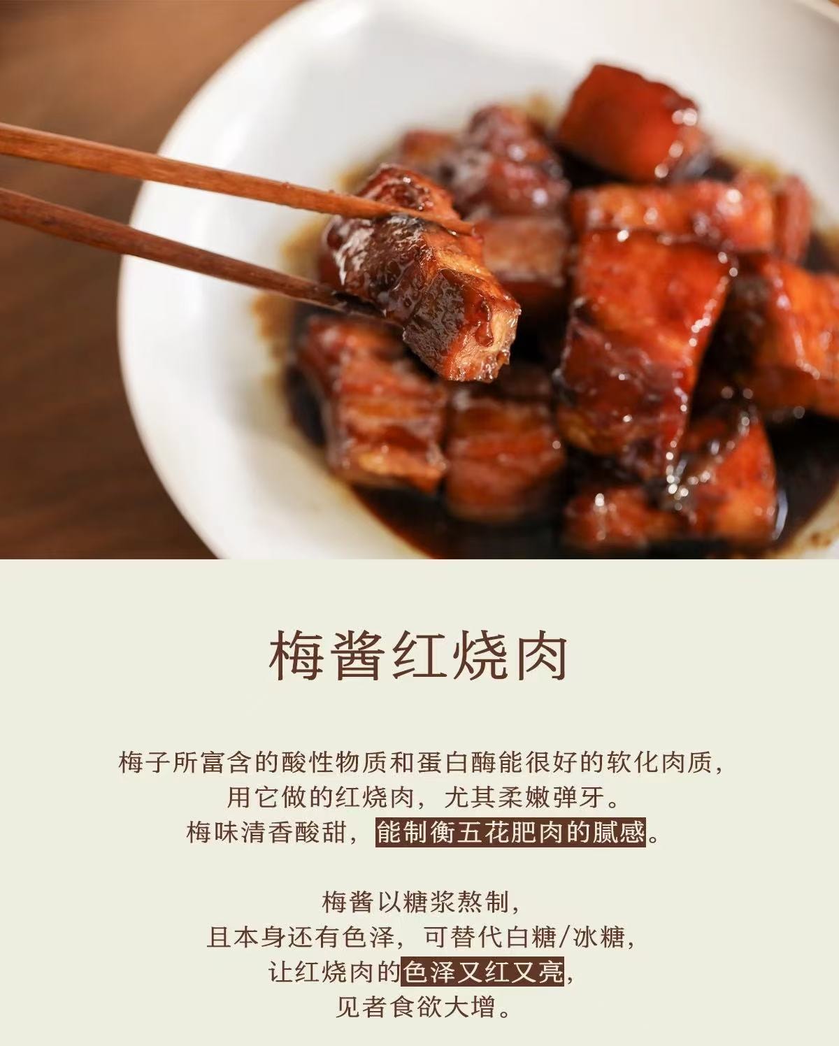 【中国直邮】 南食召 梅酱400g*1瓶 酸甜带咸·青梅熬制 青梅子酸梅酱 烧鹅烤鸭叉烧蘸酱