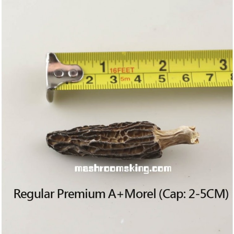 XLSEAFOOD Yun Nan Premium A+  Wild Mushroom Wild True Morel Mushroom  Regular SIZE 4OZ 113g pack 3