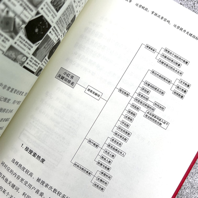 Popular Little Red Book: Playmaking Strategies from Zero to Millions of Fans 7