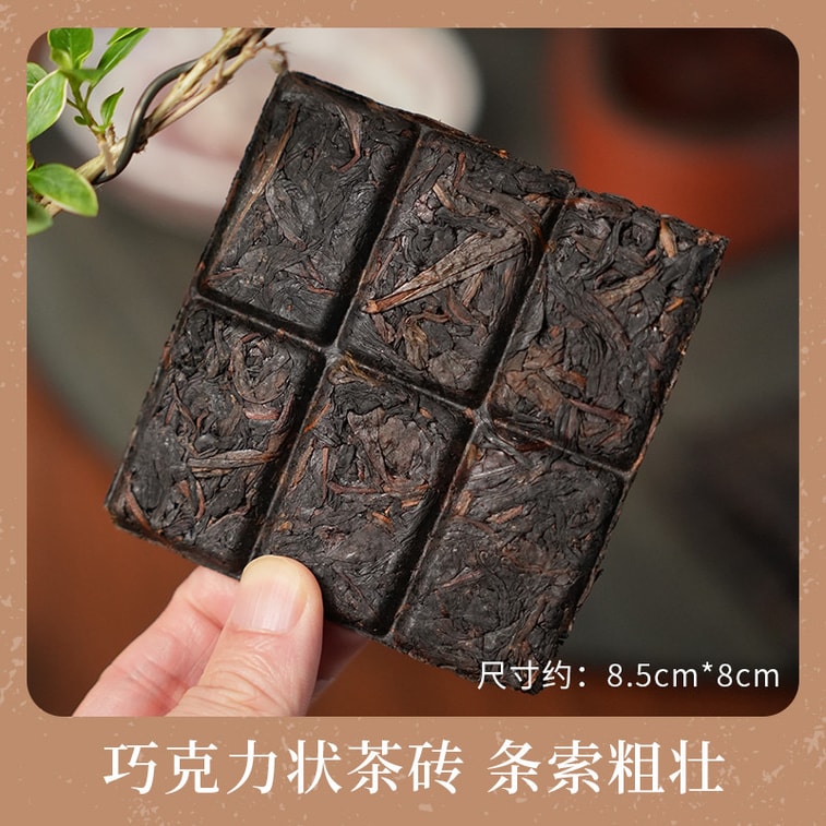 2013 Yongchun Fo Shou Oolong Tea Brick Mellow Woody Flavor Healthy Wellness Relaxing Sip for Home and Office Premium Rare Collectible 30g 3