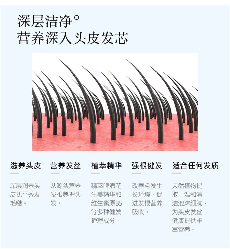 Ginger Hair Nourishing Shampoo 550ml/ bottle