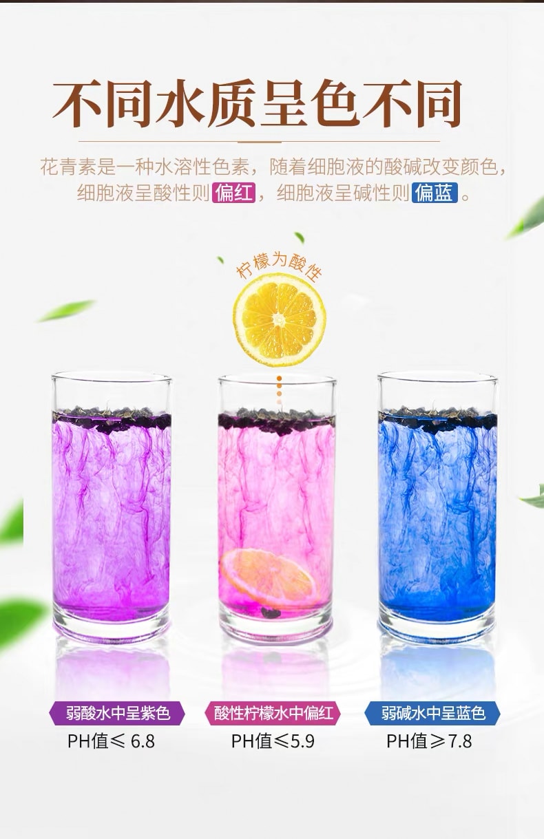 鹊和堂 黑枸杞子 500g  特级正品正宗宁夏枸杞泡茶 【富含花青素 滋补肝肾 益精明目 抗氧化能力强 有助于缓解眼疲劳 美容养颜】