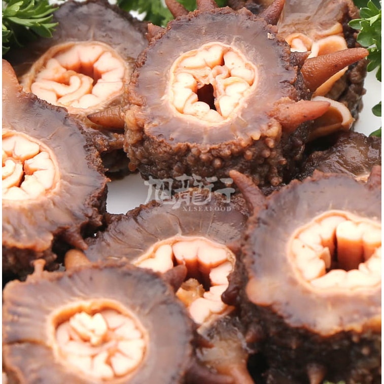 美國旭龍行 野生淡乾海參 阿拉斯加紅參 常規裝 特級8年參 中號0.5磅 227g 9