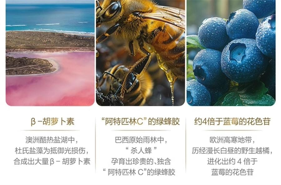 【中國直郵】 湯臣倍健 蛋白質粉增強免疫力禮盒乳清中老年成人營養品 星鑽蛋白粉300g*2
