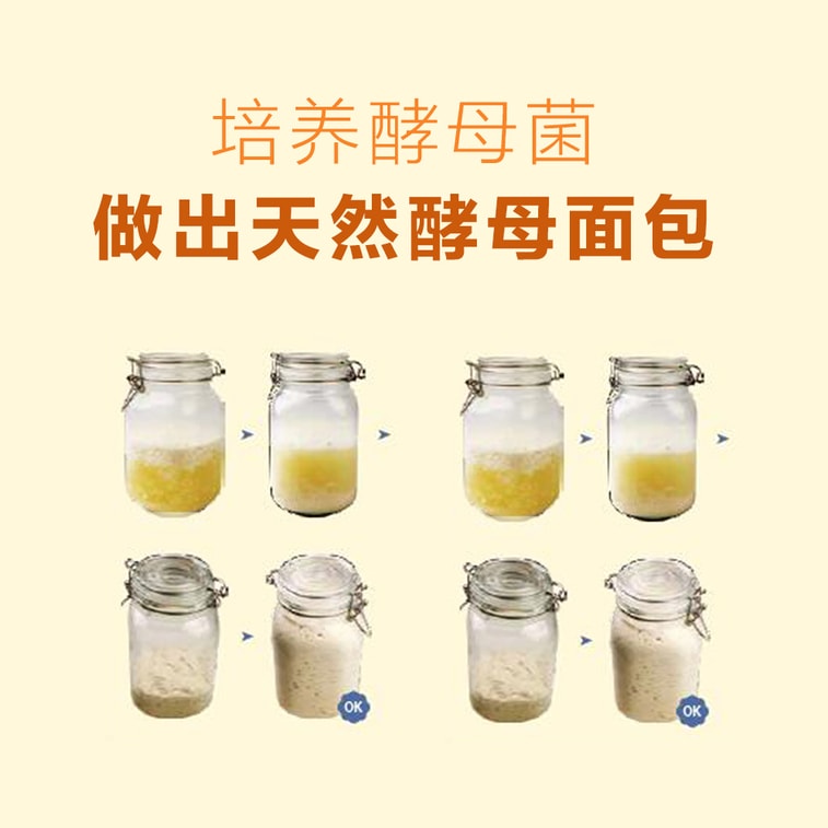 天然酵母面包制作教科书 3