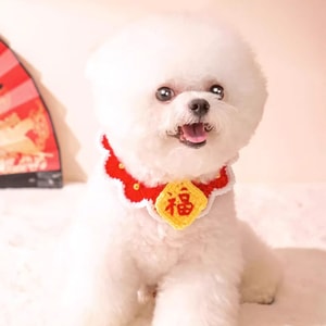 Hand-knitted Cat Bib Cat Accessories Pet Apparel Collar FU Chinese New Year