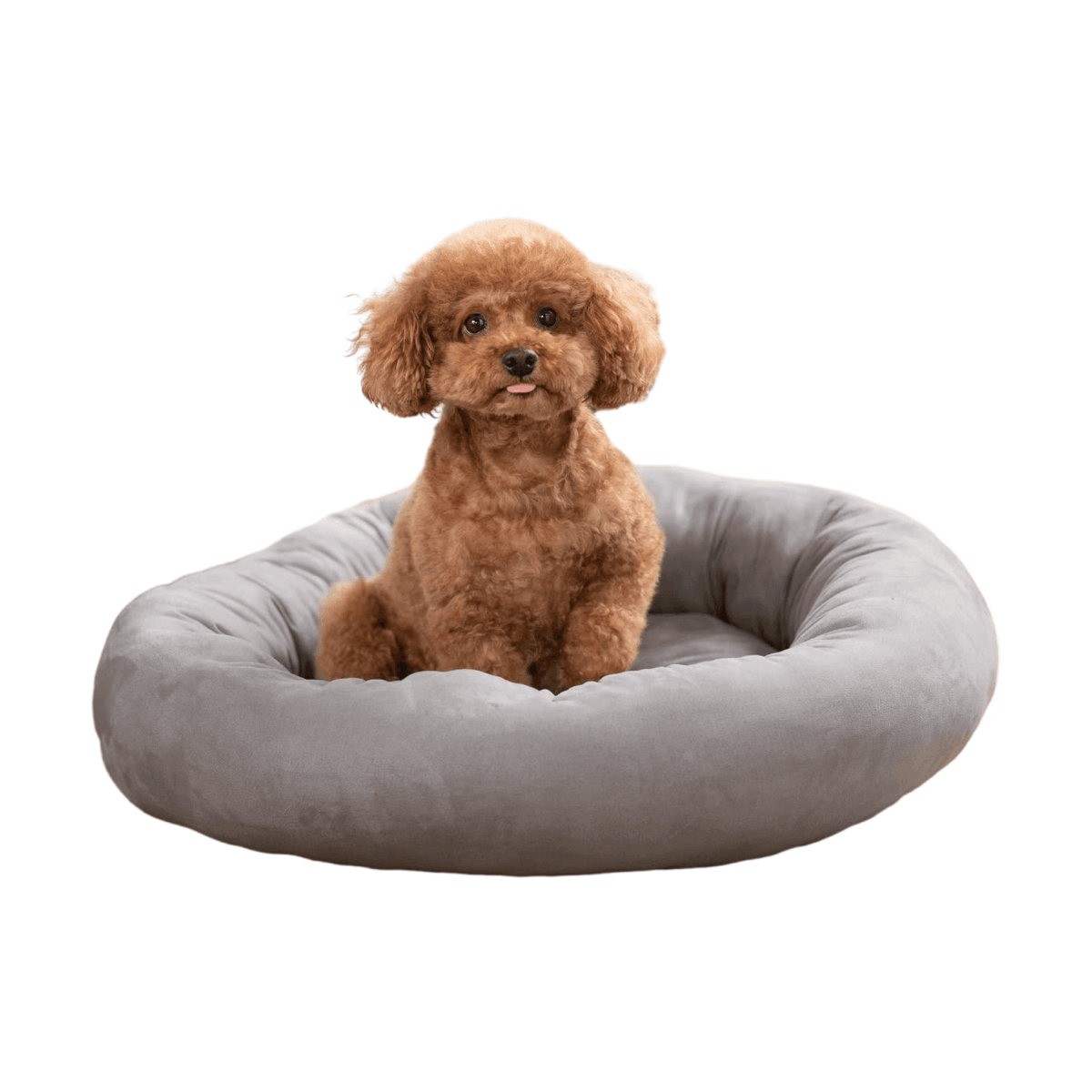 【HUKNZEN】ドーナツ犬～美品～ d734cbbc23010e9183354181a2a3e7