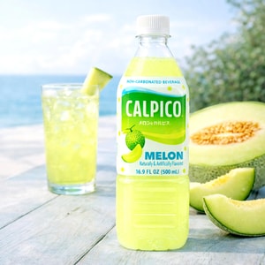 CALPICO Lactic Acid Bacteria Beverage, Melon Flavor, 16.9 fl oz