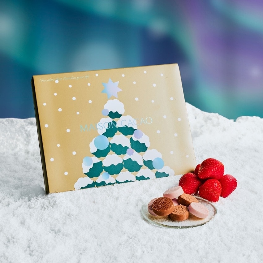 【日本直邮】 日本 Maison Cacao MaisonCacao冬季限定巧克力饼干2种12枚
