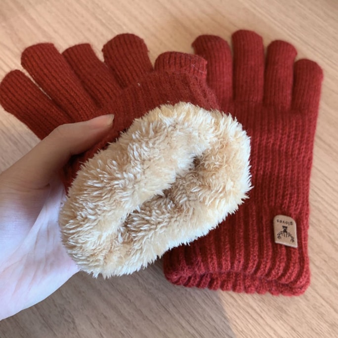 【中国直邮】 HSPM 新款冬季加绒加厚触屏针织手套 红色 F 1副